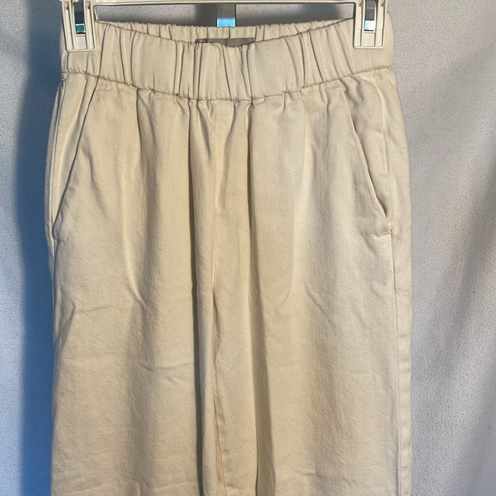 102 (Everlane Pants) - Picture 10 of 13